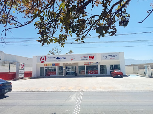 FARMACIAS DEL AHORRO Real Ixtapa