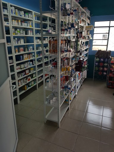 Farmacia MEDIC